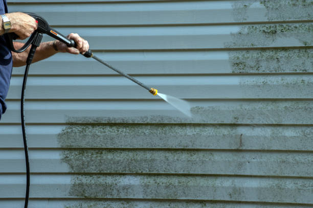 Best Exterior Home Cleaning  in Orida Ridge, FL