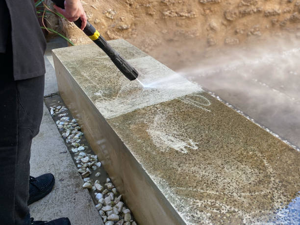 Best Roof Pressure Washing  in Orida Ridge, FL