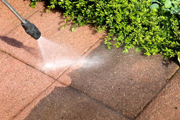 Best Best Pressure Washing Companies  in Orida Ridge, FL